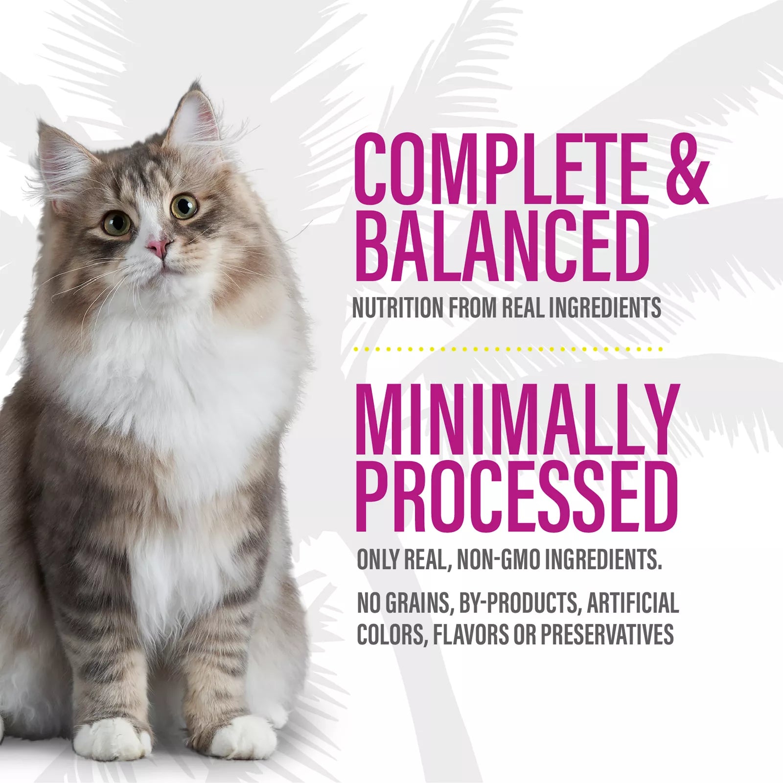 Tiki Cat Velvet Mousse - Chicken & Salmon