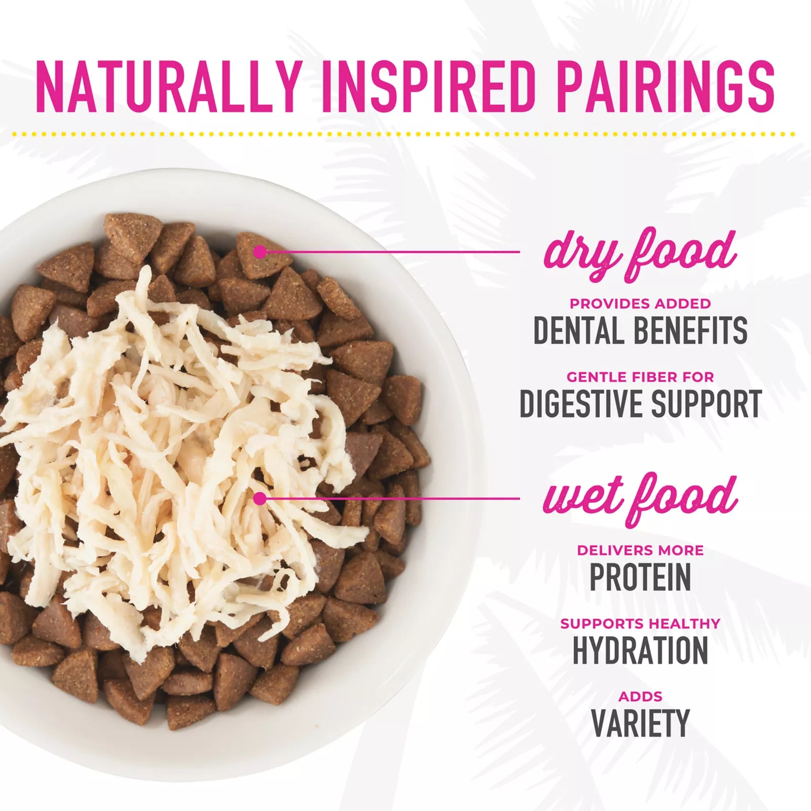 Tiki Cat After Dark Wet Cat Food With Organ Meat - 18 Count Variety Pack