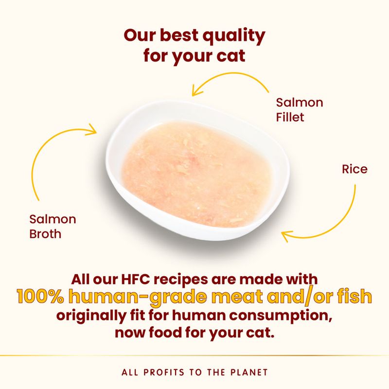 Almo Nature HFC Hydration Help HQS - Salmon Recipe In Broth