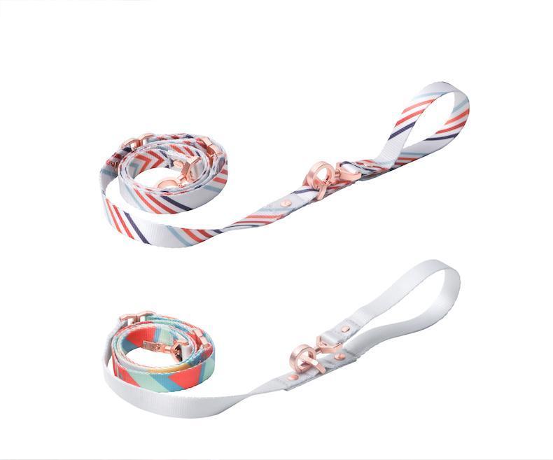 Pidan Self-unwinding Dog Leash - 2 patterns - Maokids Pet