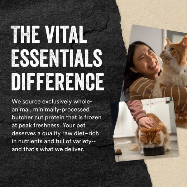 Vital Essentials Freeze-Dried Raw Rabbit Entrée for Cats - Mini Patties - Maokids Pet