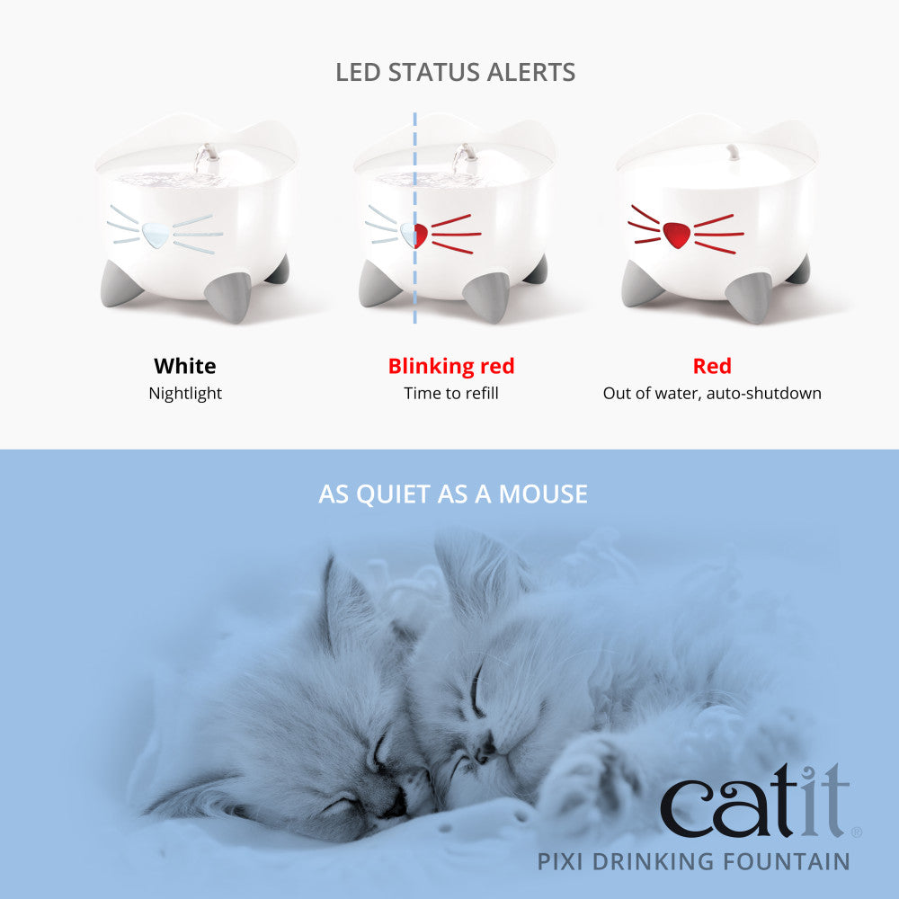 Catit PIXI Stainless Steel Fountain - White - Maokids Pet