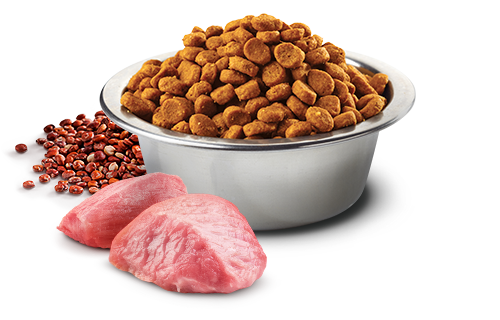 Farmina N&D Quinoa Functional Mini Breed Dog Food - Digestion Lamb - Maokids Pet