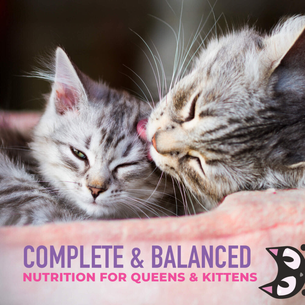 Tiki Cat Baby Weaning Purée Chicken & Chicken Liver Cat Wet Food - 6oz