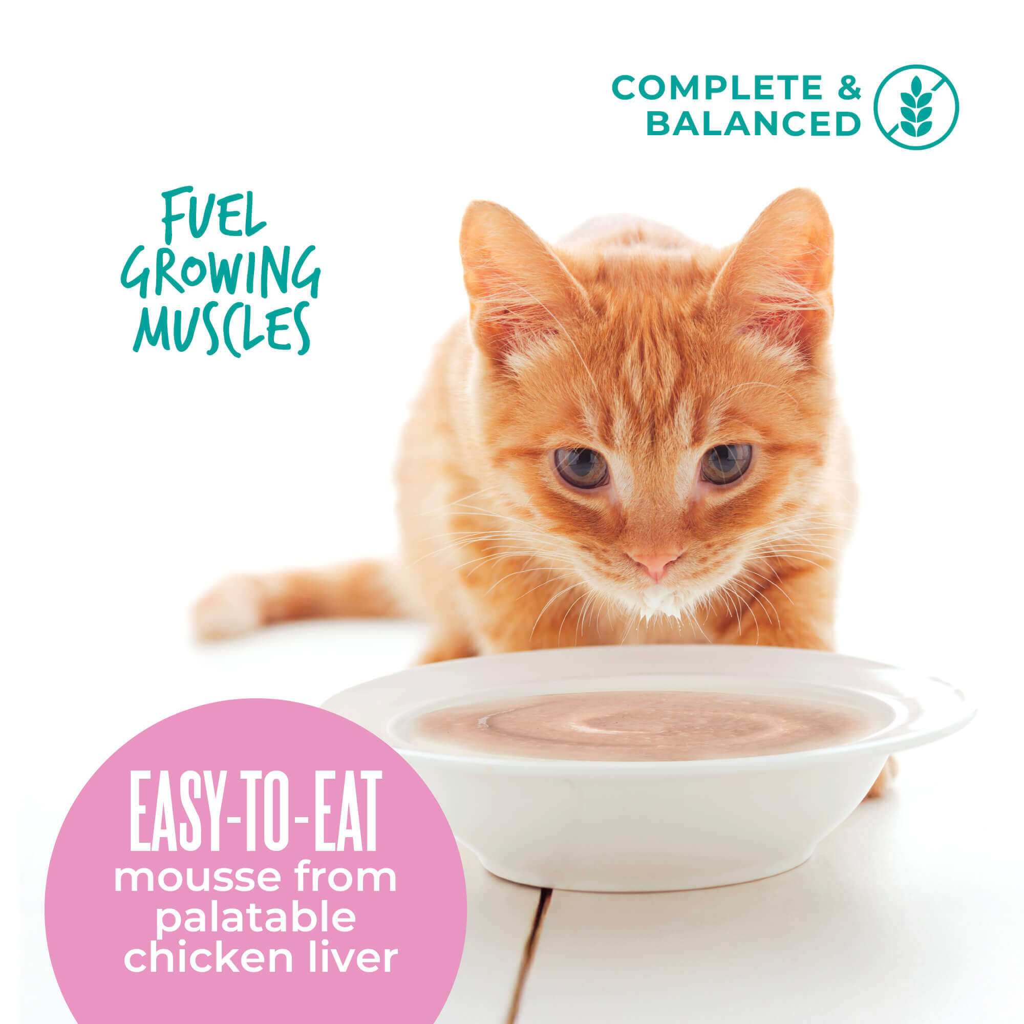 Tiki Cat Baby Mousse Wet Cat Food - Chicken, Tuna & Chicken Liver