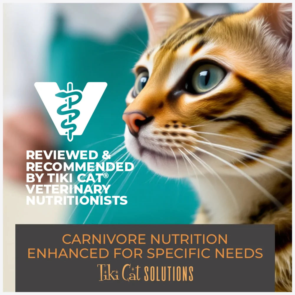 Tiki Cat Solution™ Mineral Balance Tuna & Salmon Recipe Cat Wet Food - 2.4oz