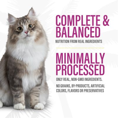 Tiki Cat After Dark Grain Free Soft Pate Chicken, Chicken Liver & Quail Recipe Cat Wet Food - 3oz - Maokids Pet