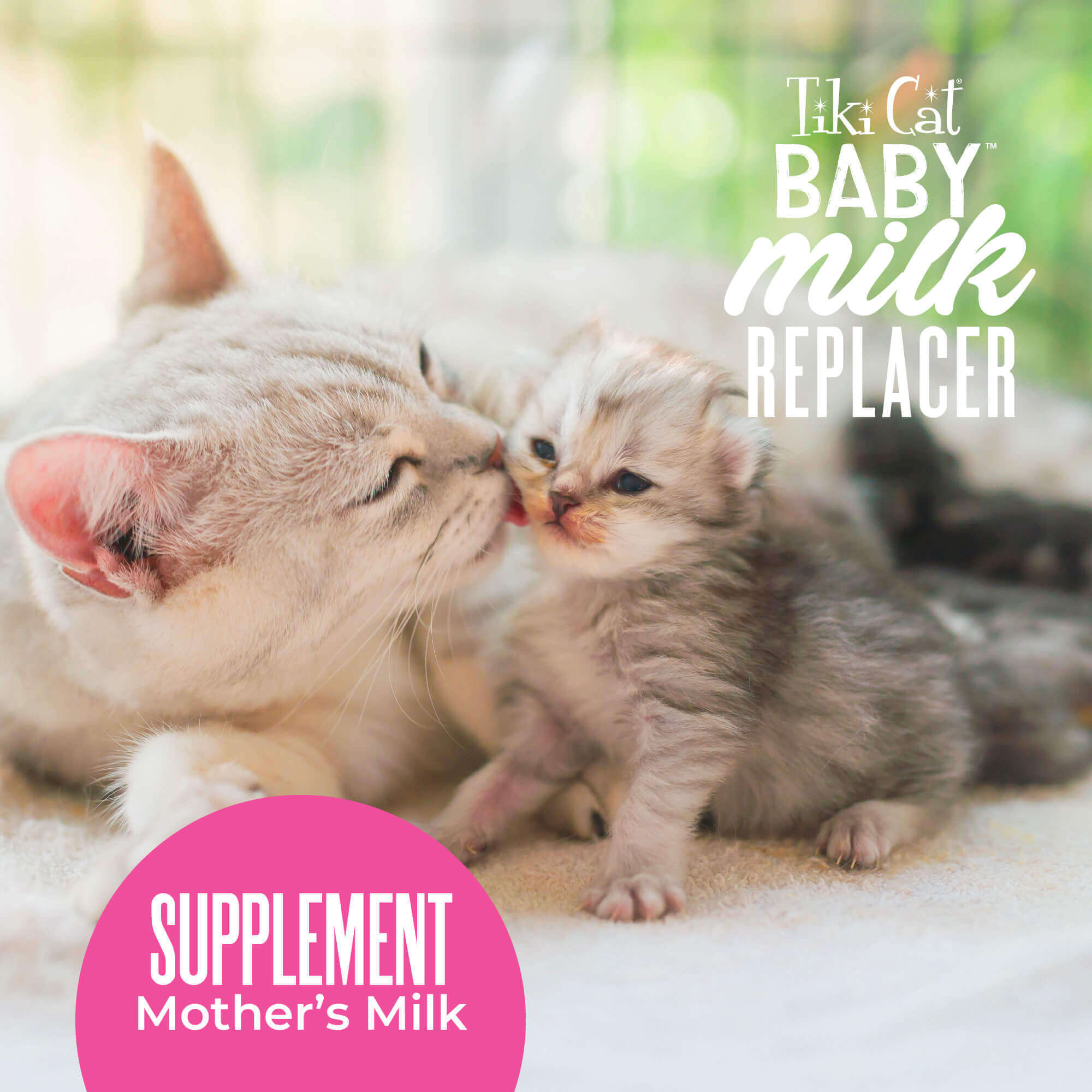 Tiki Cat Baby Milk Replacer With Goat’s Milk