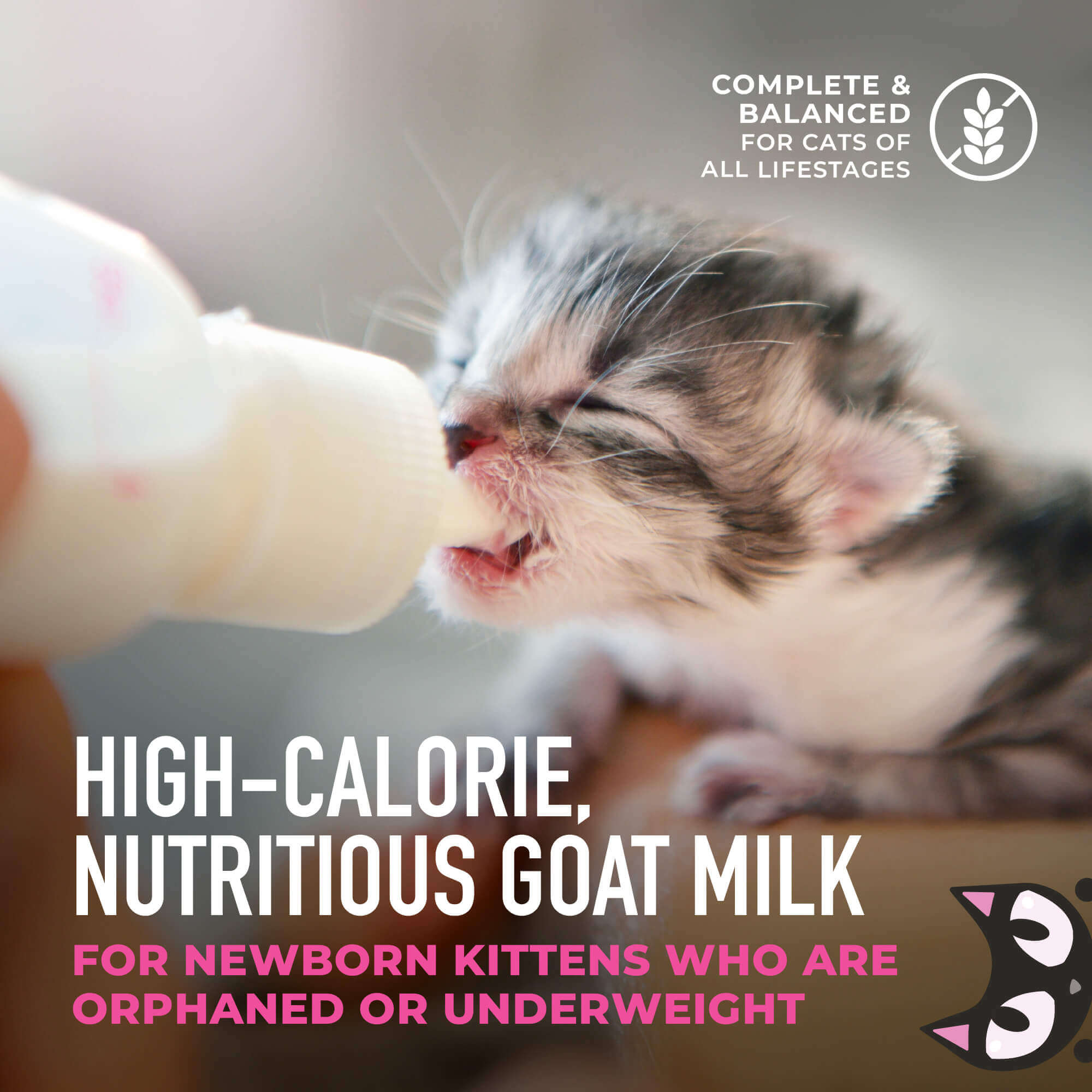 Tiki Cat Baby Milk Replacer With Goat’s Milk