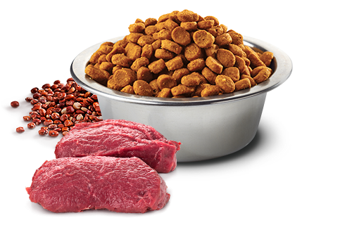 Farmina N&D Quinoa Functional Mini Breed Dog Food - Skin & Coat Venison - Maokids Pet