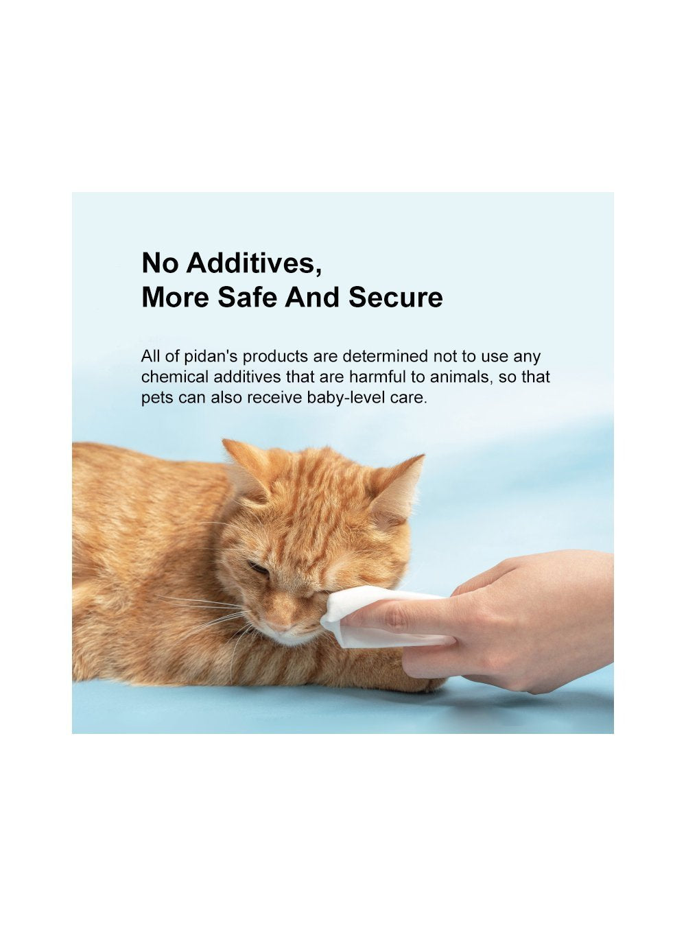 Pidan Pet Wet Wipes – 80 Sheets - Maokids Pet