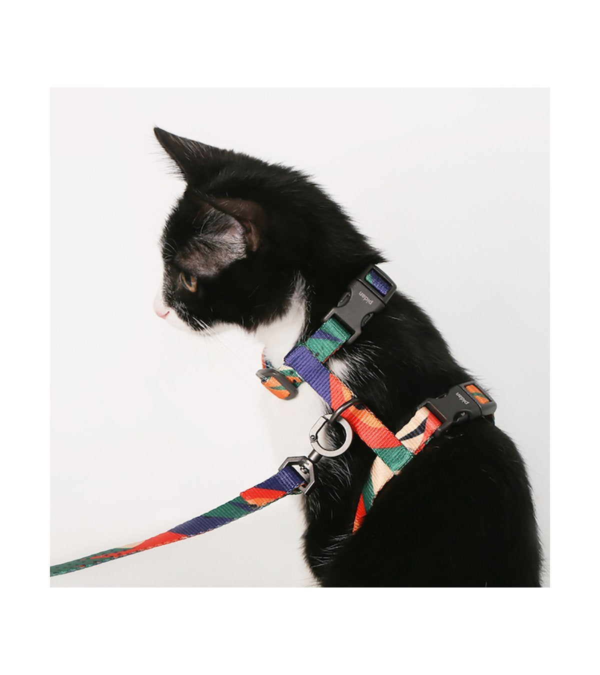 Pidan Cat Leash & Harness Set - Four Patterns - Maokids Pet