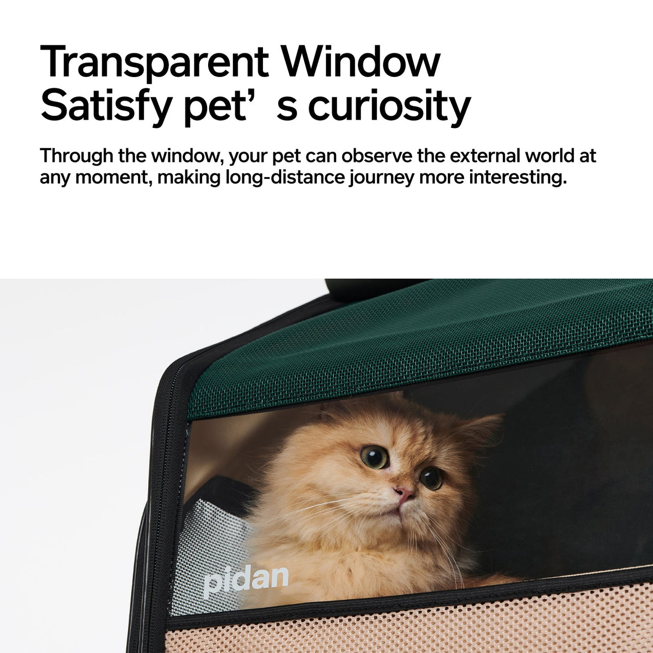 Pidan Expandable Travel Habitat Carrier - Maokids Pet