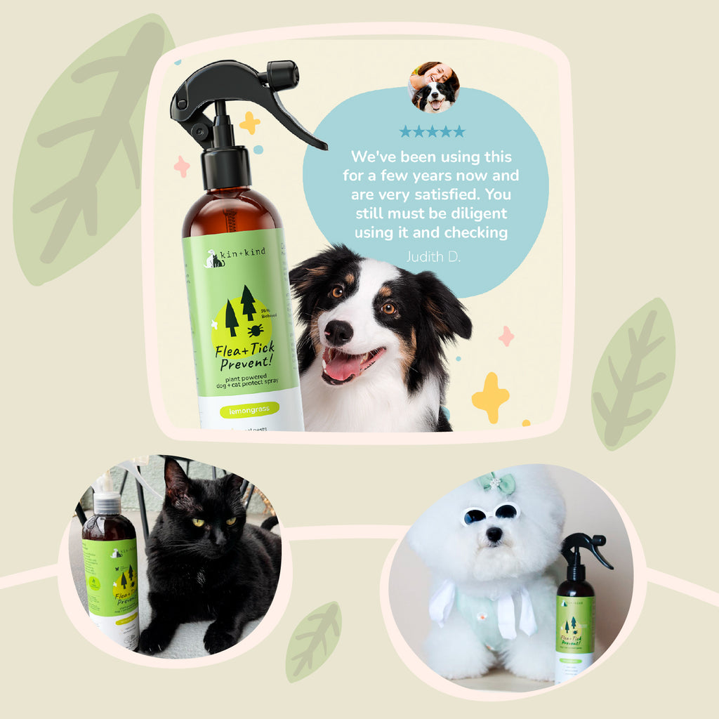 Kin + Kind Flea & Tick Protect Spray For Cat & Dog - Lemongrass - Maokids Pet