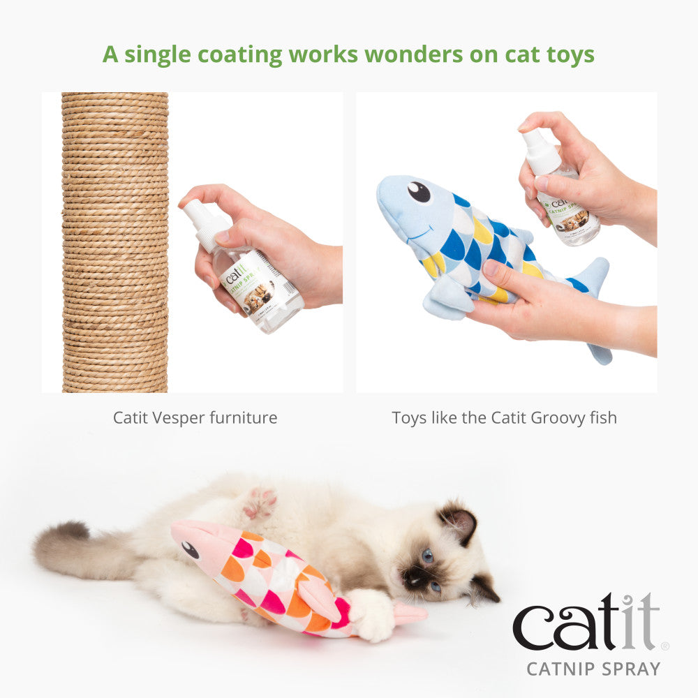 Catit Catnip Spray - Maokids Pet