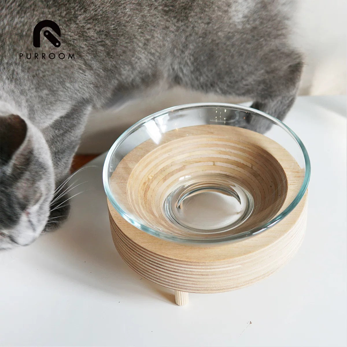 Purroom Glass Bowl With Wood Stand For Pet - Maokids Pet