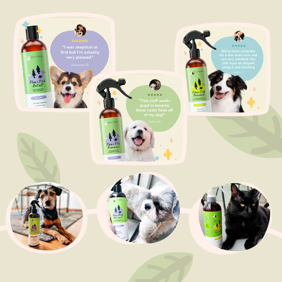 Kin + Kind Flea & Tick Shampoo For Cat & Dog - Lemongrass