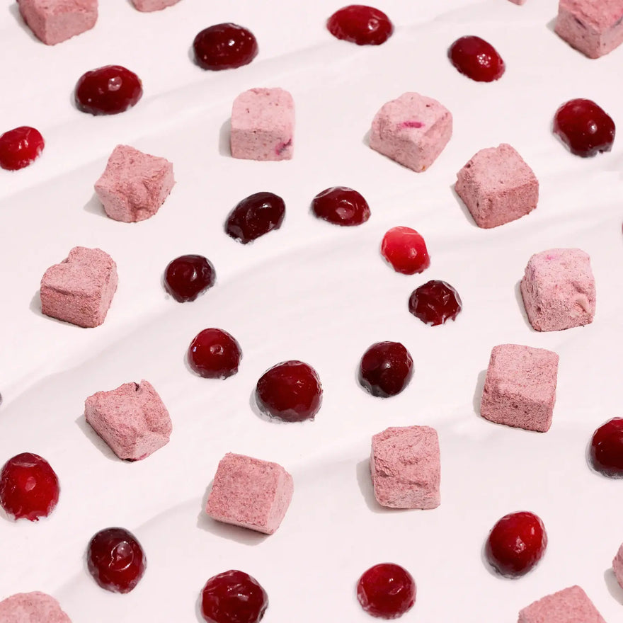 Wagging Bum Anytime Yogurt! Freeze Dried Yogurt with Cranberry For Dog - 56g - Maokids Pet