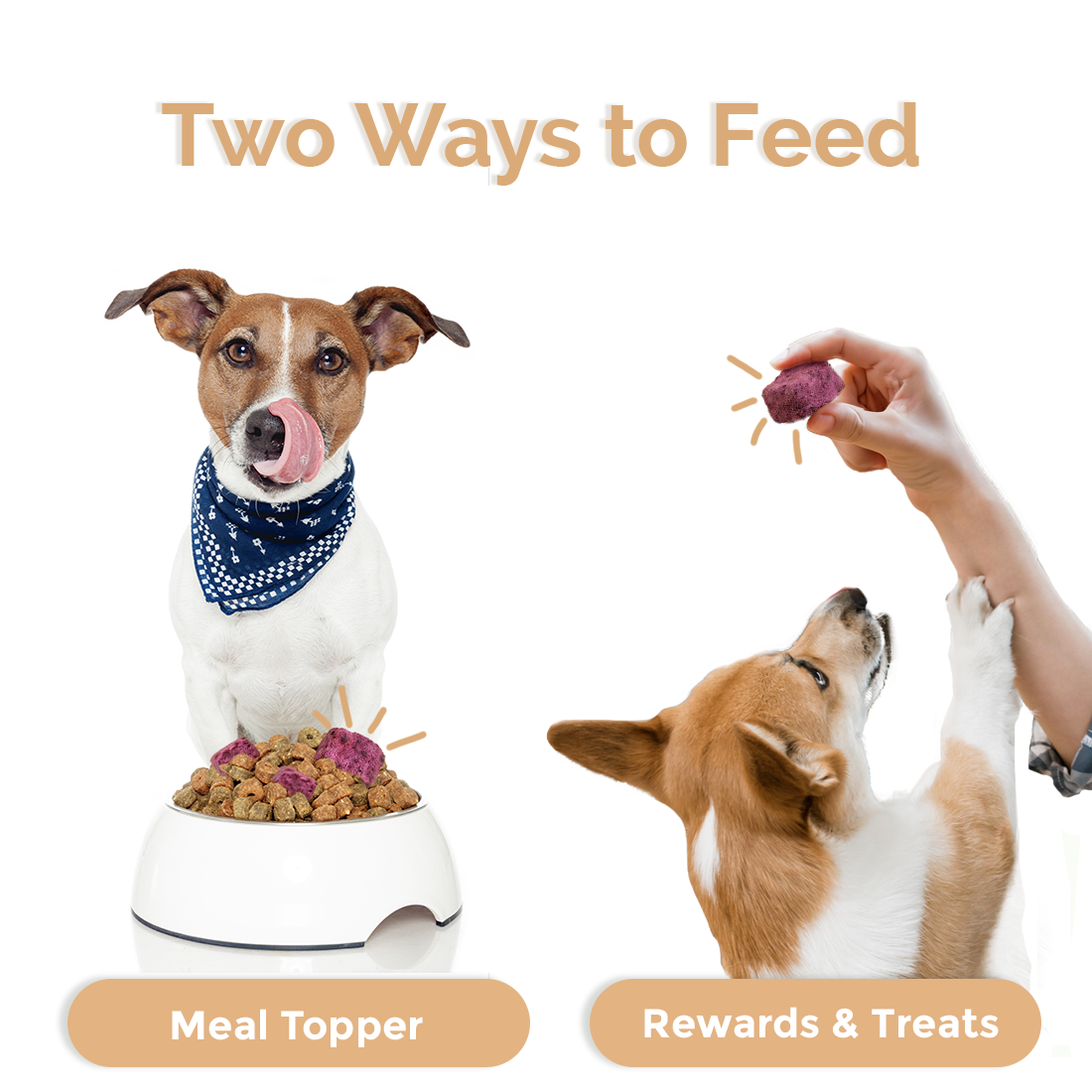 Loopypaws Crispy Goat Yogurt Treats For Cat & Dog - Blueberry -30g - Maokids Pet