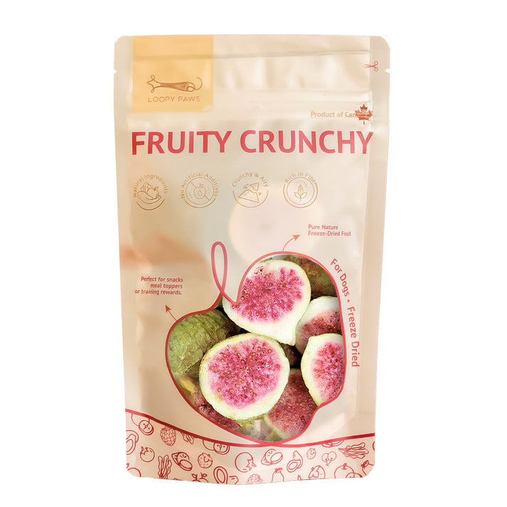 Loopypaws Fruity Crunchy For Dog Treats - Fig - 30g - Maokids Pet