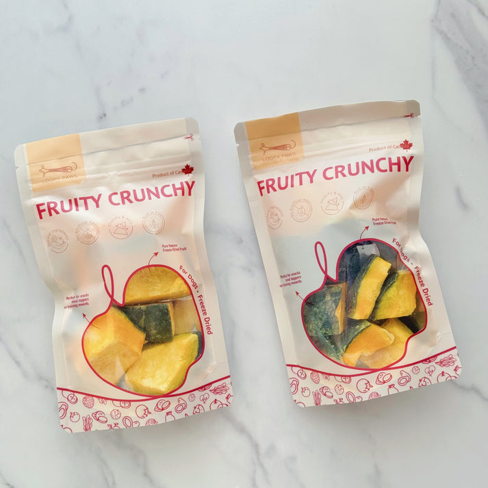 Loopypaws Fruity Crunchy Dog Treats - Kabocha Pumpkin - 40g - Maokids Pet