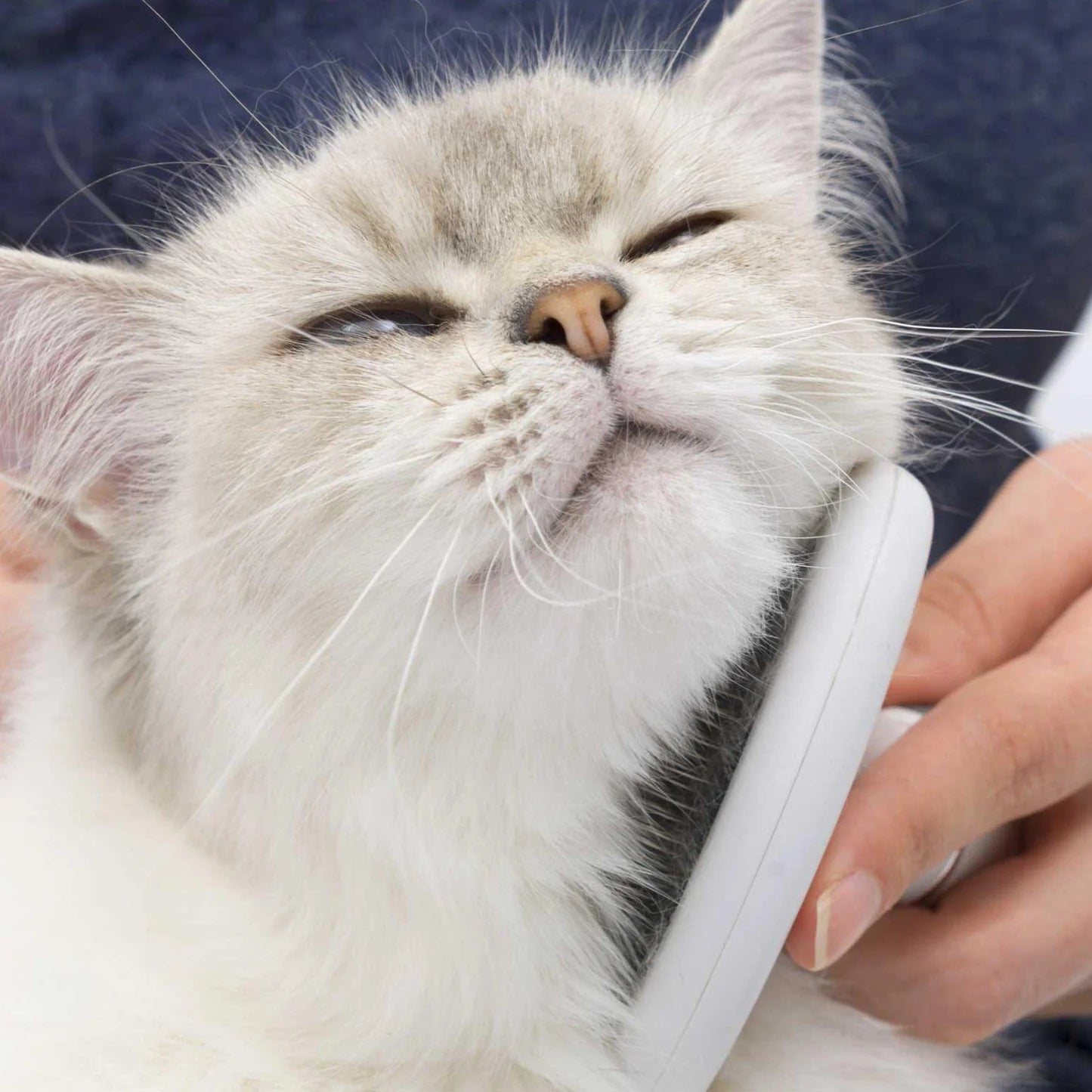 Catit Grooming Kit - For Longhair Cat - Maokids Pet
