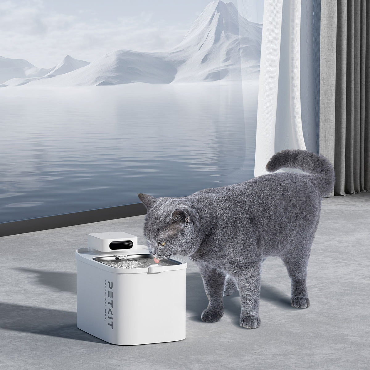 Petkit EverSweet Max (Cordless) Pet Water Fountain - Maokids Pet