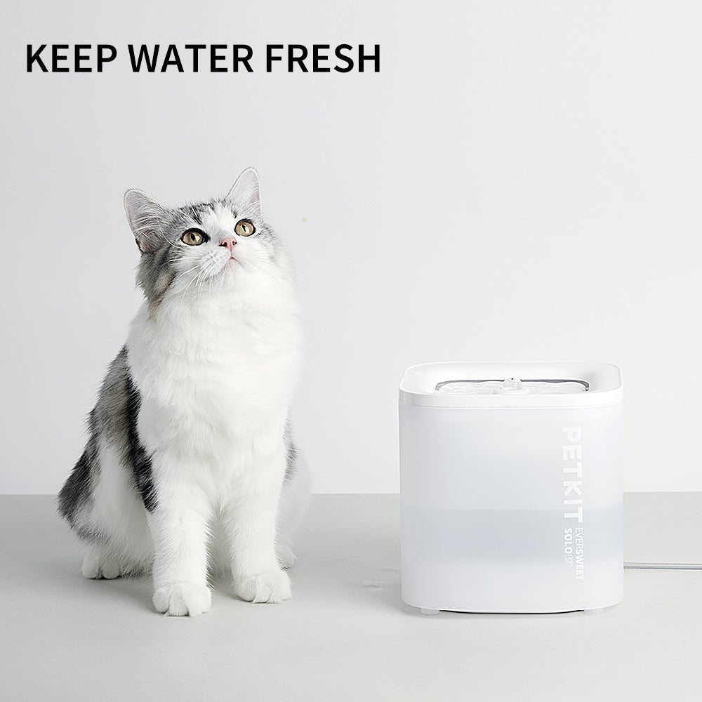 Petkit EverSweet Solo SE Pet Water Fountain - Maokids Pet