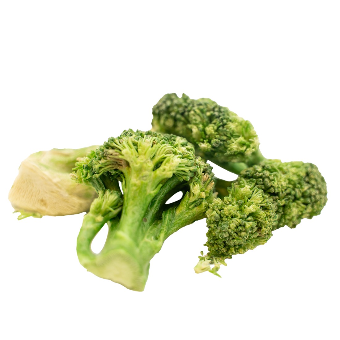 Loopypaws Harvest Crunchy Broccoli Mixed Dog Treats - 30g - Maokids Pet