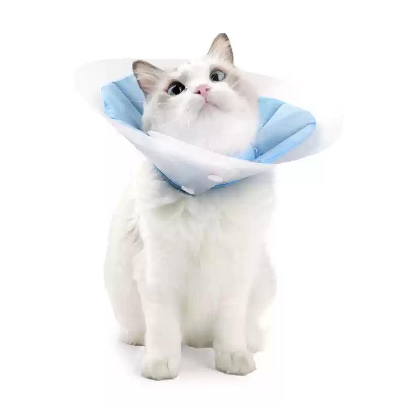 Doton Dual-Layer Design E-Collar For Cat - Maokids Pet