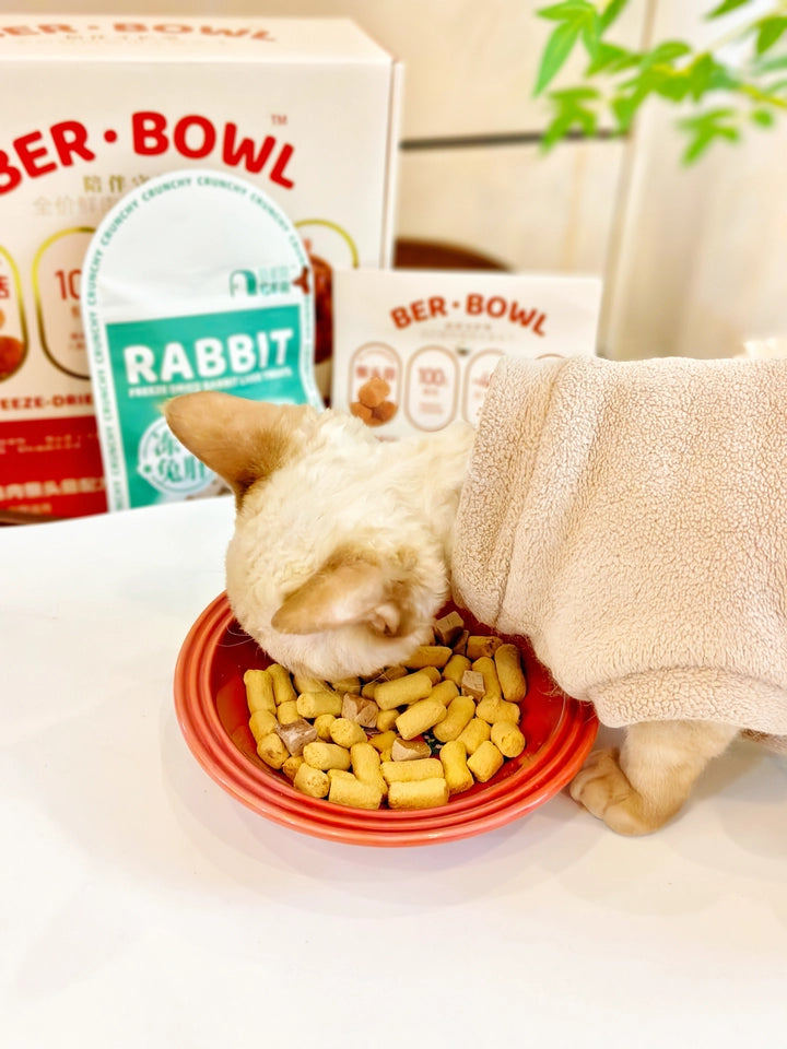 Berber Freeze Dired Lion's Mane & Chicken Cat Food
