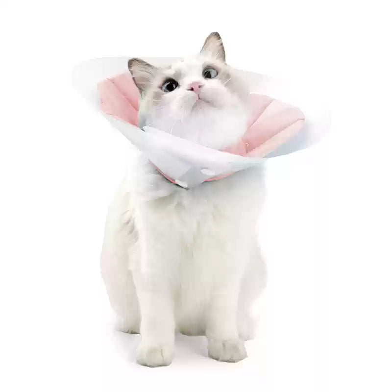 Doton Dual-Layer Design E-Collar For Cat - Maokids Pet