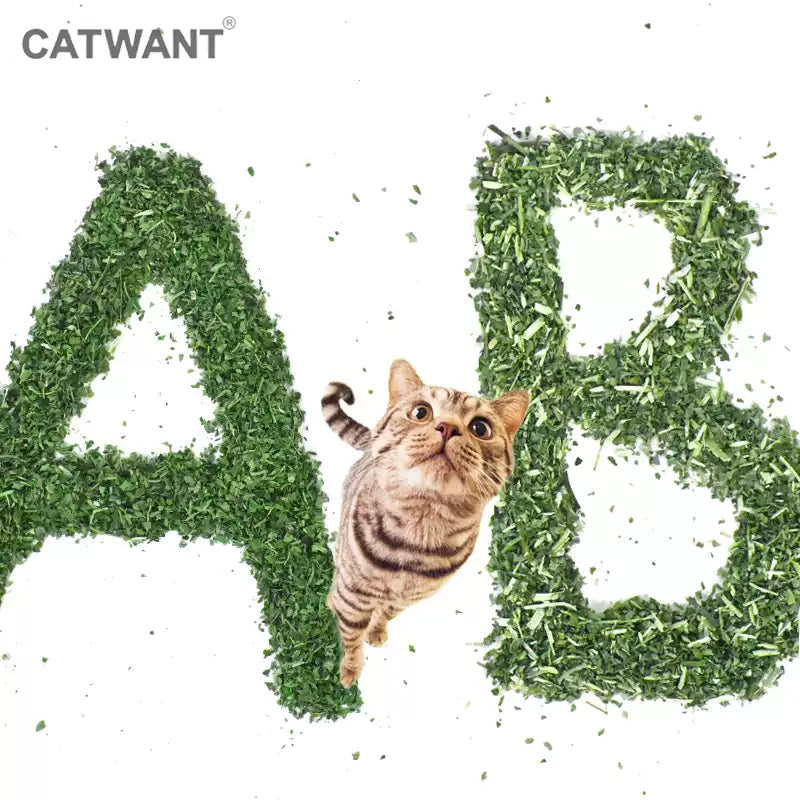 Catwant Premium Catnip Powder
