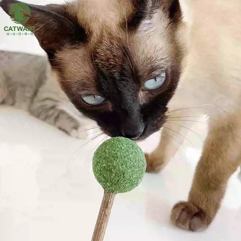 Catwant Catnip Lolipop Dental Chew Stick For Cat