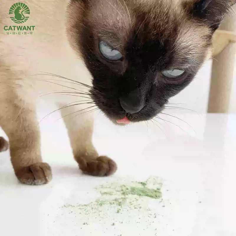 Catwant Premium Catnip Powder