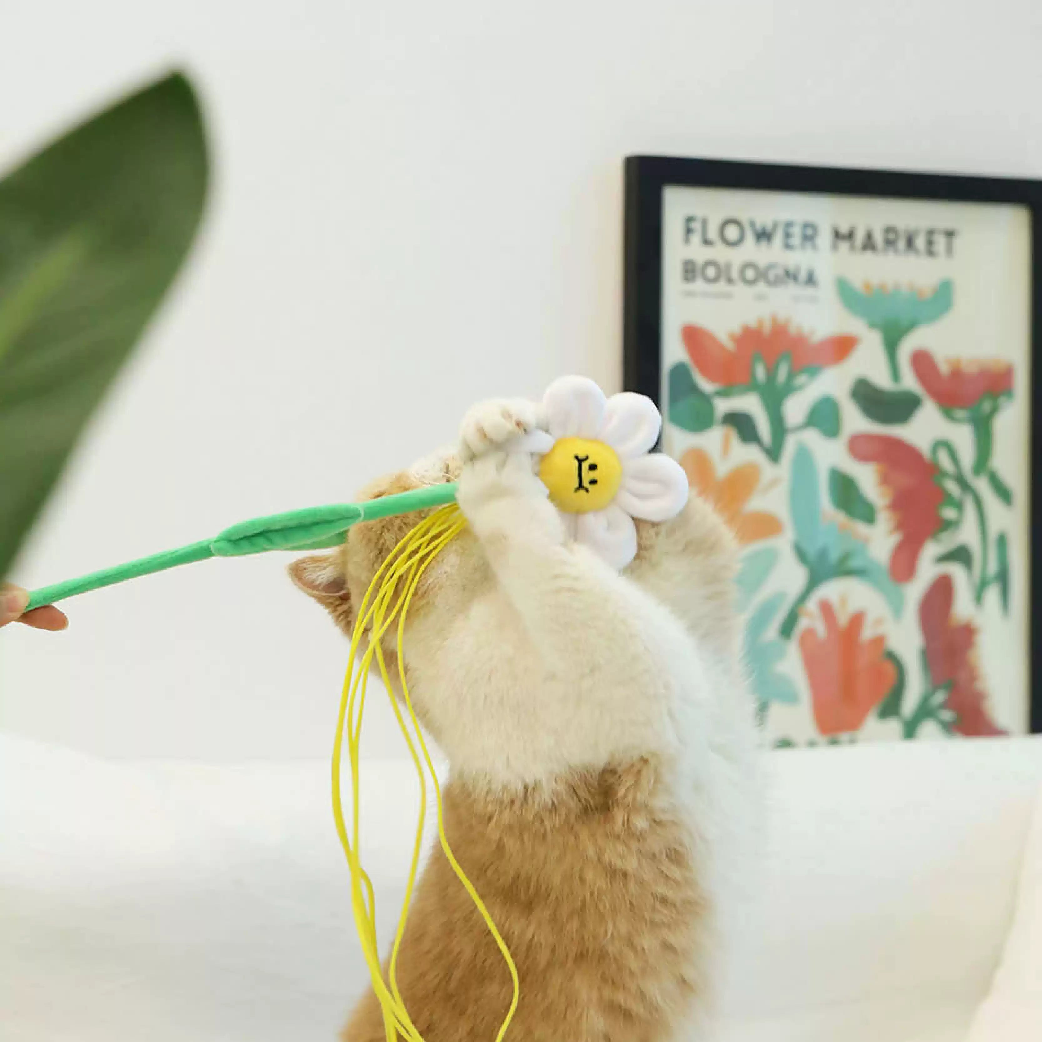 Purlab Daisy Flower Catnip Cat Teaser - Maokids Pet