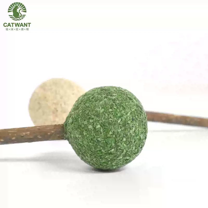 Catwant Catnip Lolipop Dental Chew Stick For Cat