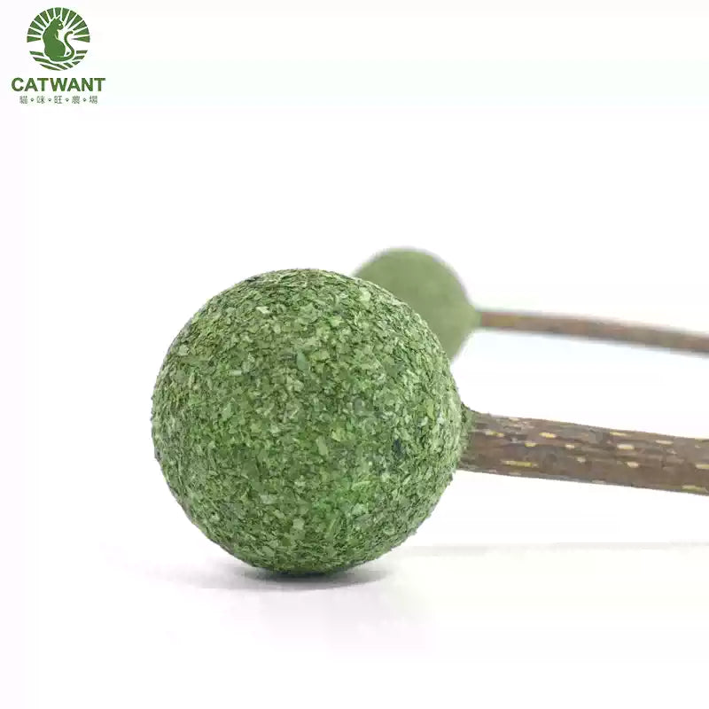 Catwant Catnip Lolipop Dental Chew Stick For Cat