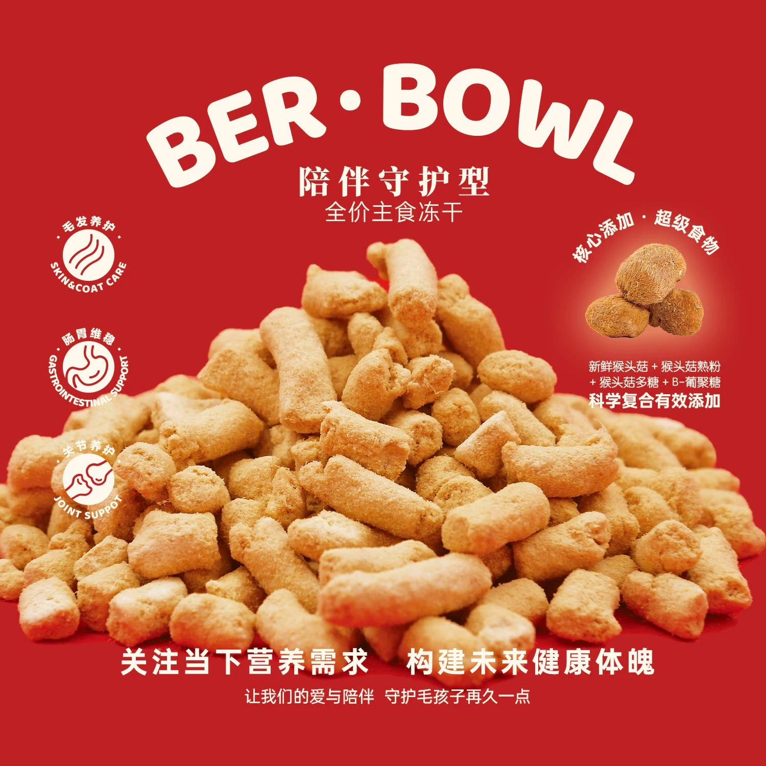 Berber Freeze Dired Lion's Mane & Chicken Cat Food