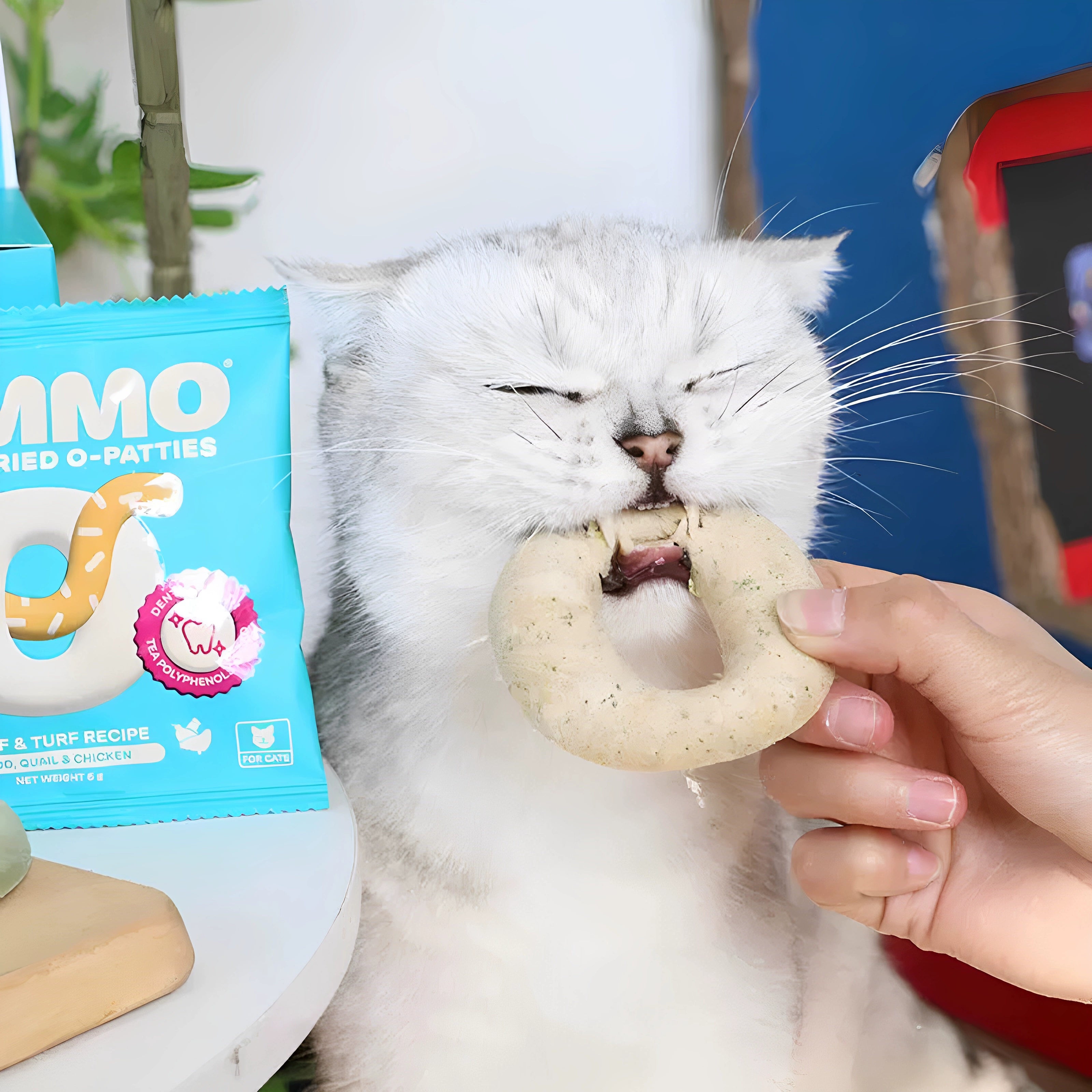 Gimmo Poultry Recipe Freeze-Dried O-Bites For Cat - Maokids Pet