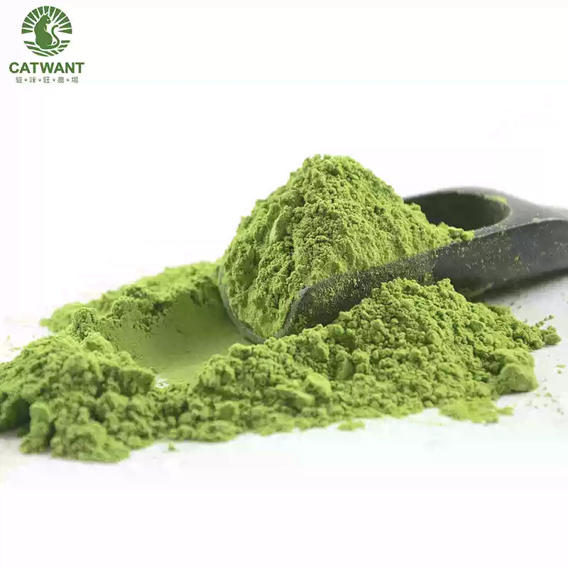 Catwant Premium Catnip Powder