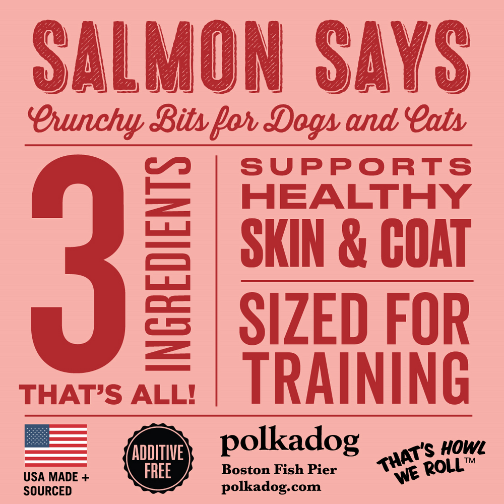 Polkadog Salmon Says Mini Treats Tube For Dog & Cat