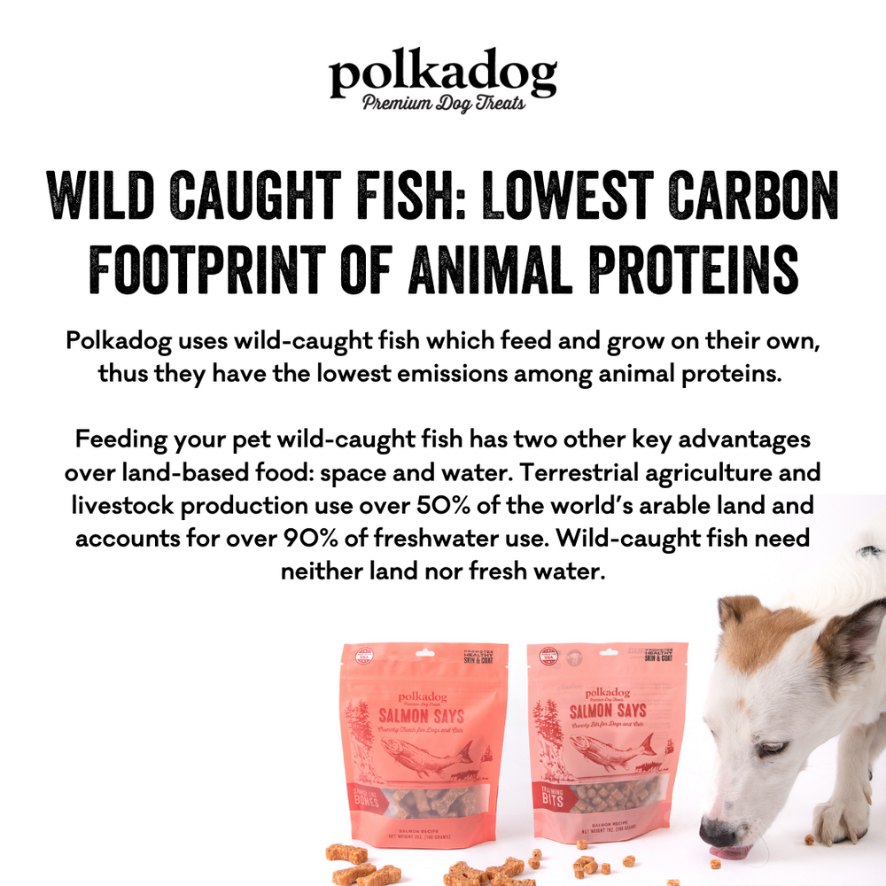 Polkadog Salmon Says Mini Treats Tube For Dog & Cat