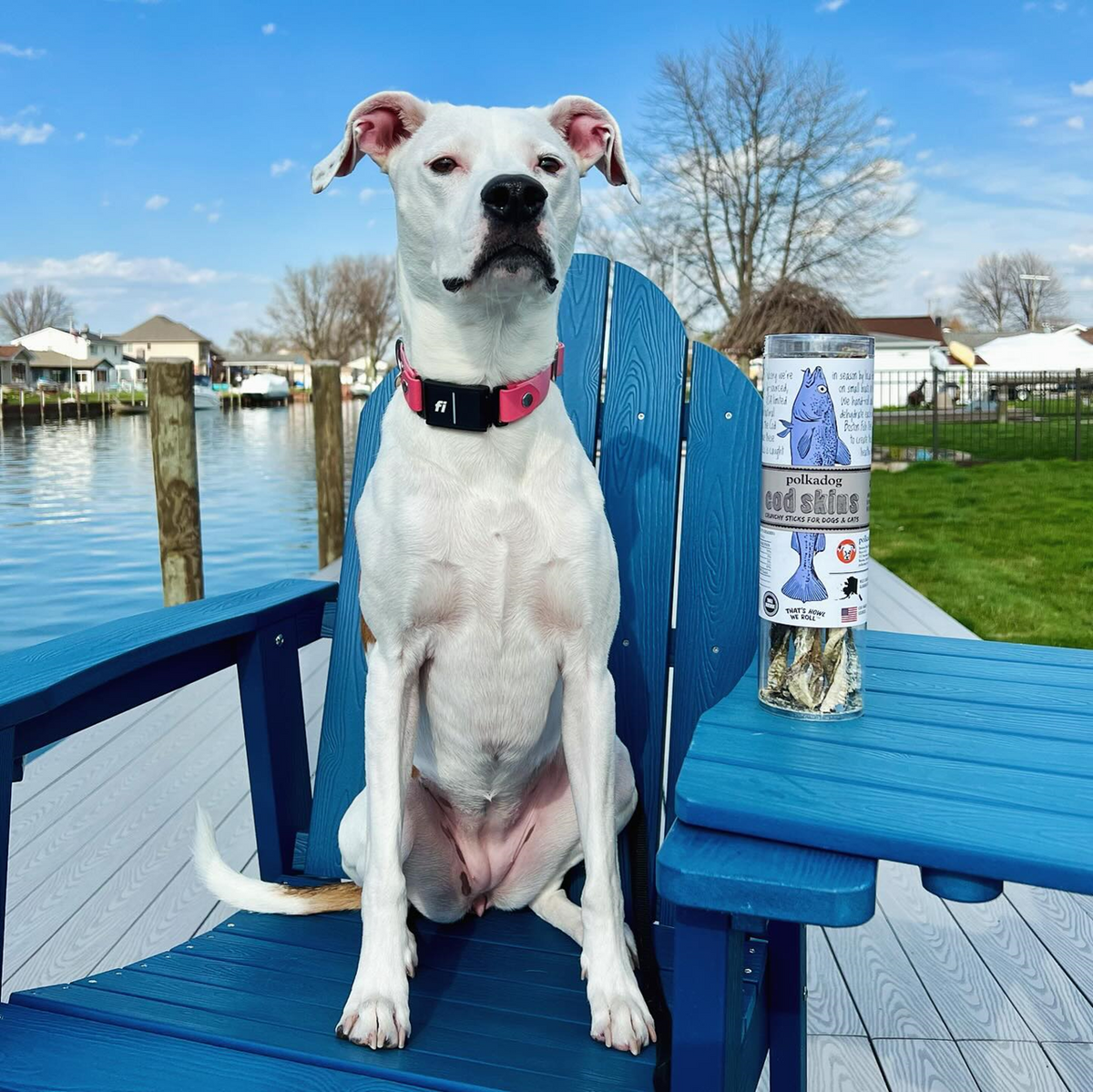 Polkadog Short Stick Cod Skin Treats For Dog & Cat