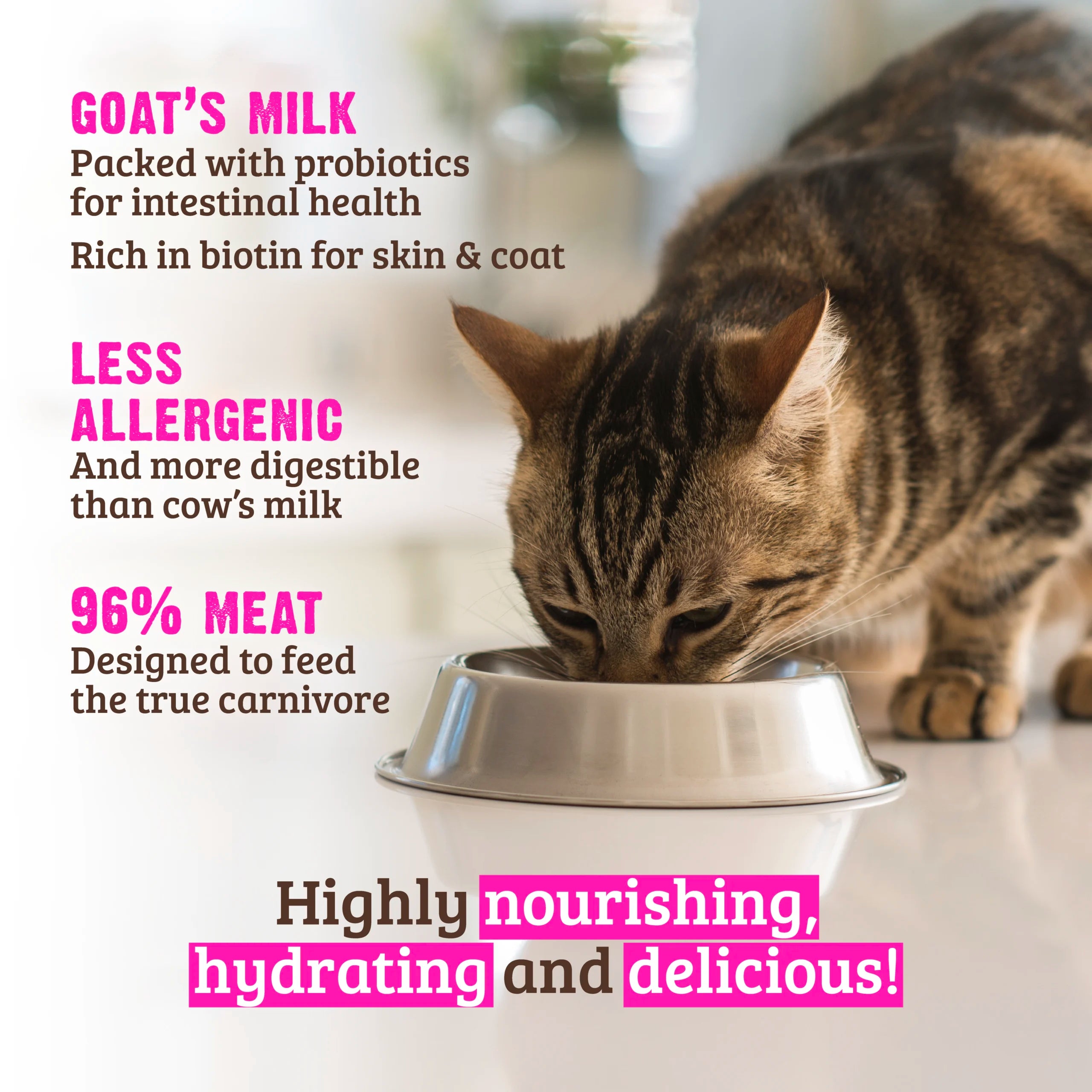 Rawz with Goat Milk 96% Rabbit Canned Cat Food - 5.5oz