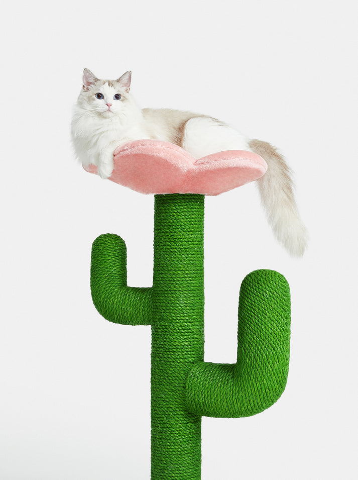 Vetreska Blooming Cactus Cat Tree