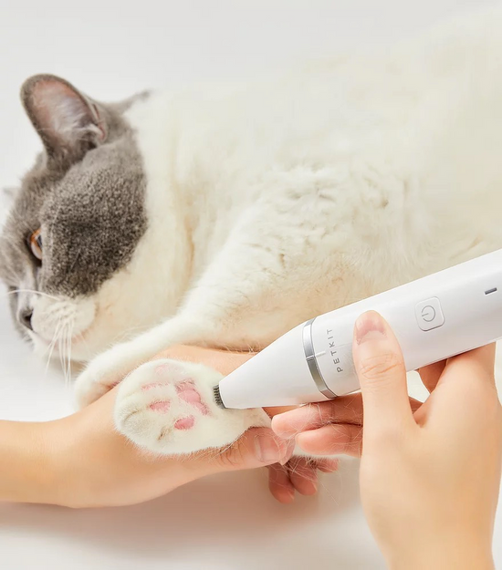 Petkit 2-in-1 Trimmer For Paw & Full Body - Maokids Pet