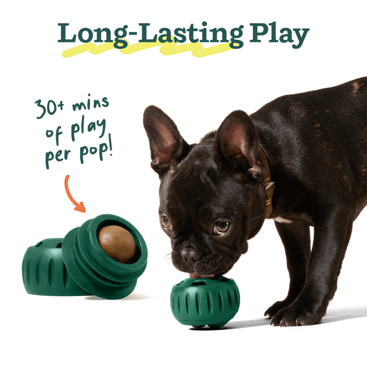 WOOF Popsicle Refill Pops For Dog Toy