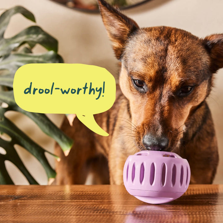 WOOF Pupsicle Treat Dispensing Dog Toy - Forest Green