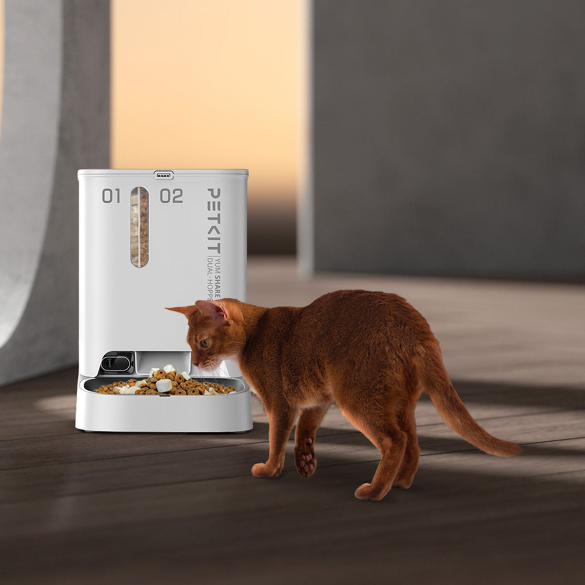 Petkit YumShare Dual-hopper Automatic Feeder with Camera - Maokids Pet